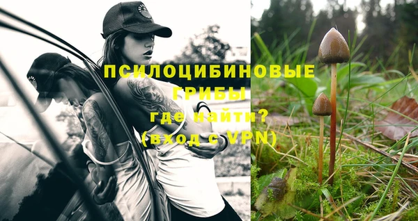дмт Володарск