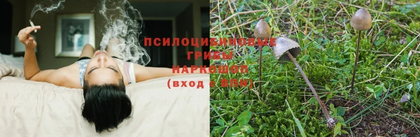 ALPHA PVP Волоколамск