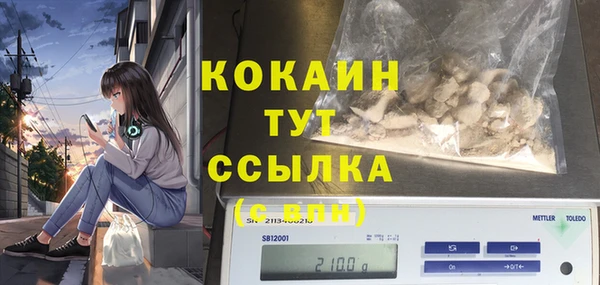 mix Бородино