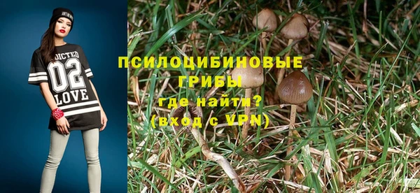 дмт Володарск